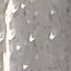 D135